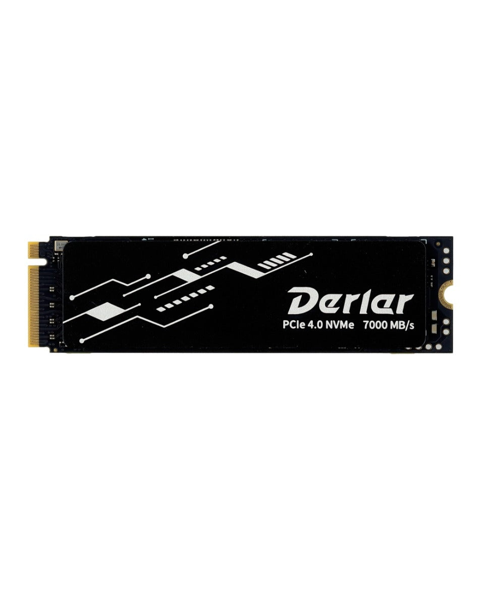 Derlar DL-770 M.2 NVME PCIe 4.0 2280 2TB High Performance SSD Solid State Drive