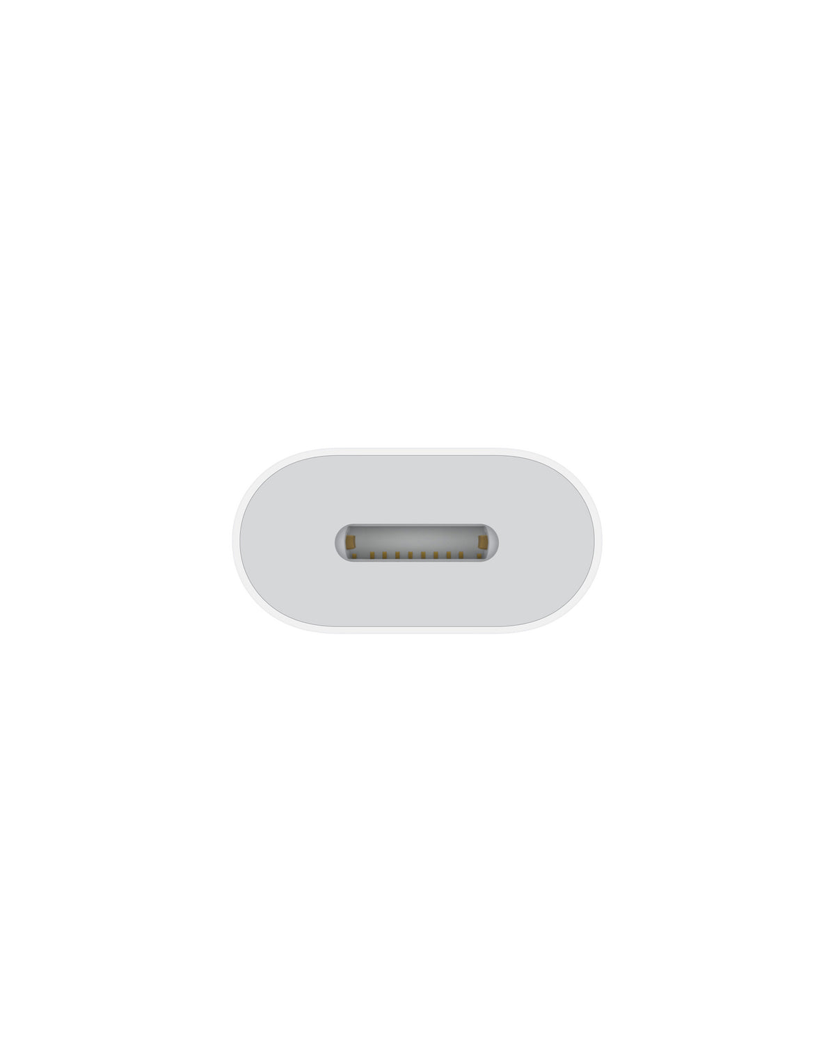 USB-C to Lightning Adapter (OEM Pull A Grade) (Only Ground Shipping)